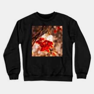 Fire and Ice Bittersweet Crewneck Sweatshirt